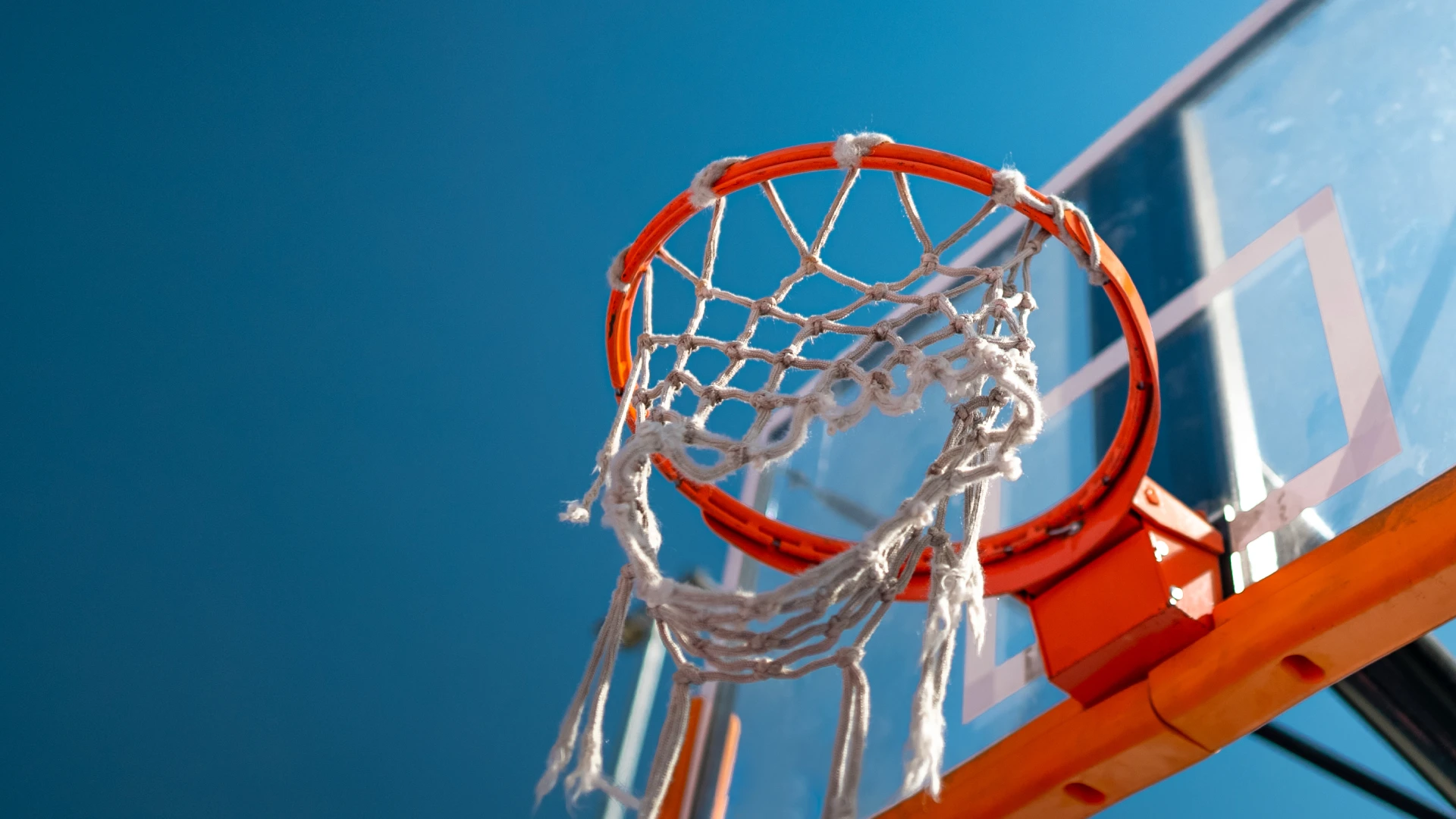 SGM & Performance - Basketball